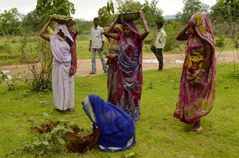 800.000 volunteers planted close to 50 million trees in just 24 hours. (Yann Forget / Wikimedia Commons / CC-BY-SA-3.0)
