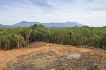 Deforestation: Scarred earth where tropical rain forest has been destroyed by human development in Borneo, Malaysia