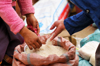 Freerice has donated over 95 billion grains to date