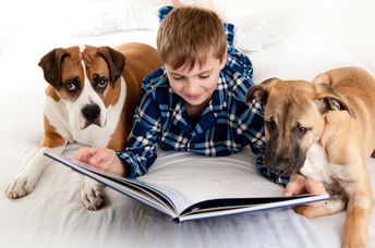 Kids reading to shelter dogs