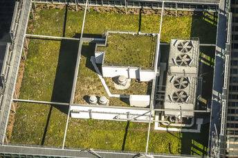 Chicago's City Hall building  green roof.