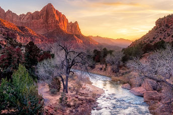 Hiking in the Zion National Park