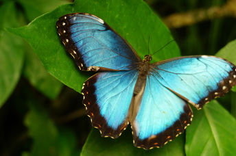 Embrace change like this butterfly.