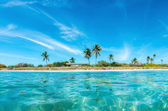The Florida Keys hosts crabs who are cleaning the coral reef ecosystem.