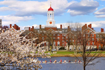 A college campus in the spring