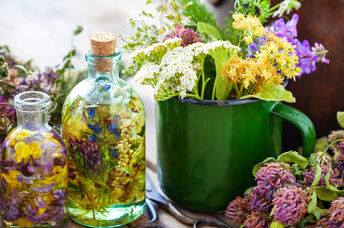 medicinal plants you can find in your yard.