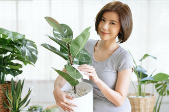 Woman taking care of house plants.