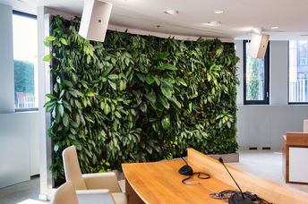 Green wall