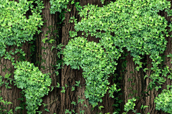 wooden map on the world,