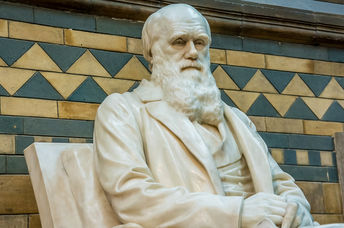 Charles Darwin.