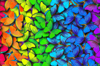 Which color inspires you?