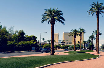 Decorate grass in Las Vegas