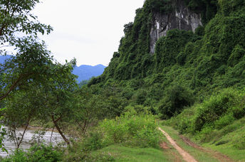 This beautiful reserve is home to the saola.
