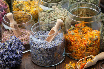 Jars and bundles of dried flowers used for making aromatic essential oils.