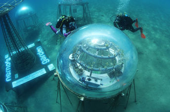 Divers are outside a biosphere.