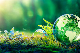 Save the envionment.