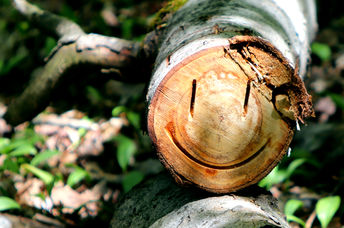 Smiley face carved on log to highlight sustainability