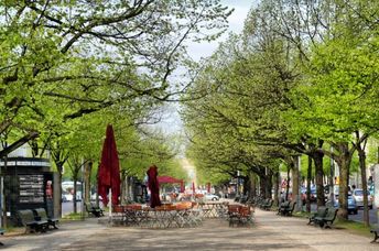 Unter den Linden, named for the linden tree,  boulevard in Berlin, Germany.