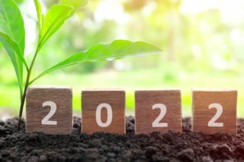 Make New year's resolutions for 2022.