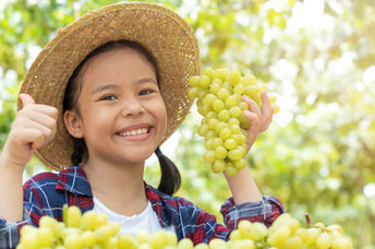 A young girl in a vineyard holds up bunches of green grapes.