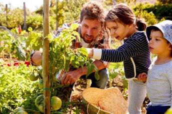 Father and his kids looking at vegetables growing in a community garden.