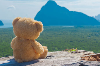 Lost teddy bear awaiting its owner.