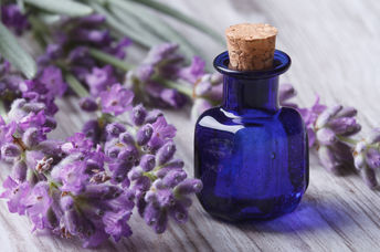 Lavender oil in a glass bottle next to fresh lavender flowers.
