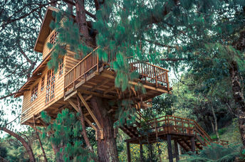 A treehouse in the woods.