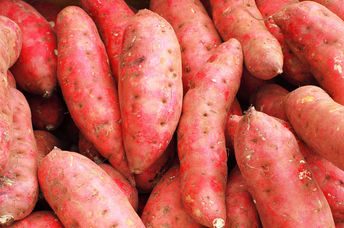 This bright orange vegetable is bursting with health benefits.