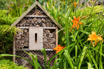 A bee hotel in a garden hosts pollinators.