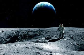 Thale cress cultivated in a laboratory.