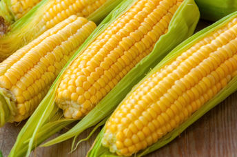 Sweet corn is delicious and good for you.