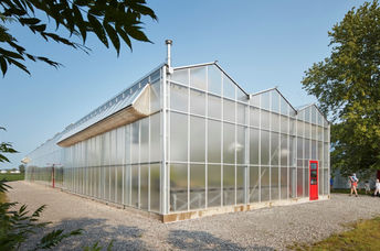 Enjoy seeing your food grow while you eat.