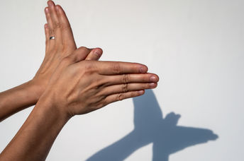 Hands with shadow on a white background.