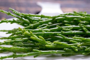 Close-up of raw, fresh salicornia.