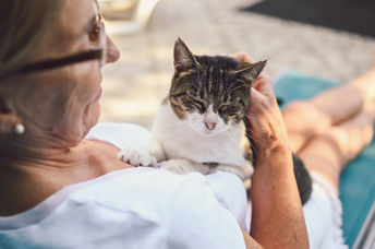 Happy senior woman in glasses relaxing with her tabby cat.