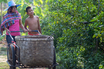 Walking in the garden.