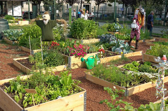 A community garden.