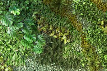 Your home can be build with living walls.