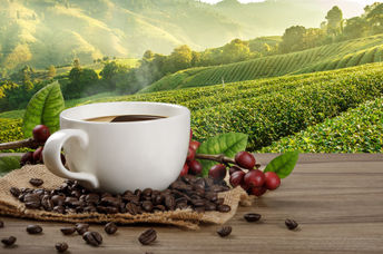 The best coffee is freshly ground dark-roast.