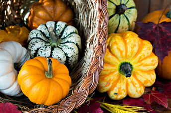 A cornucopia of the fall harvest.