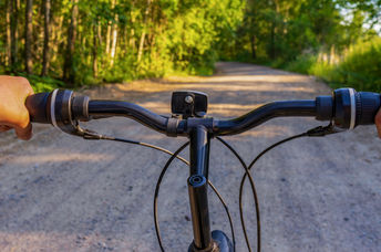 Cycling in the forest.