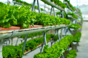 Vertical farming systems.