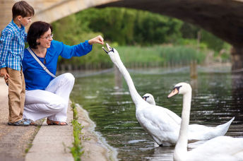 Spending time in nature is good for mental health.