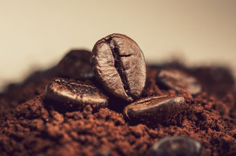 Coffee beans.