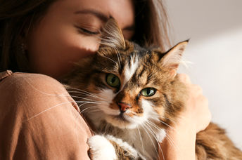 Woman cuddling a cute cat.