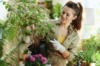 Bokashi compost helps your houseplants thrive.