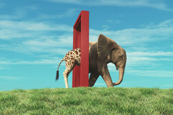 Changes in life are not always easy.