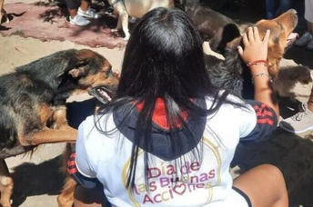 Taking care od dogs on Good Deeds Day.