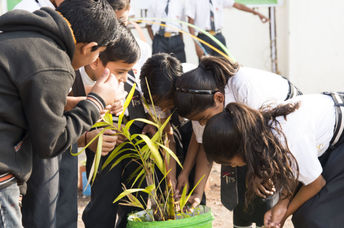 Children learning about nature.